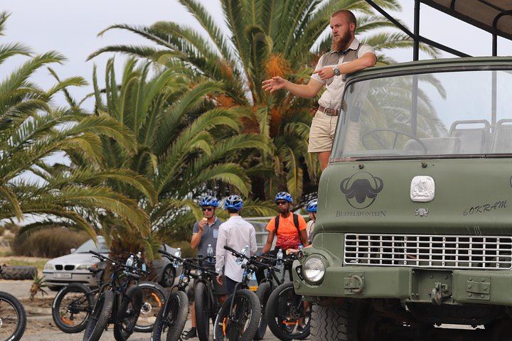 Explore the diverse wildlife of South Africa on an unforgettable safari. Surrounded by nature encounter majestic zebras and rhinos while cycling through stunning landscapes near Cape Town.